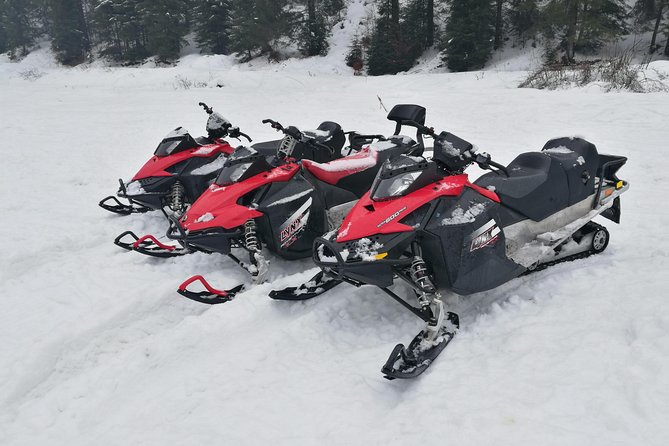 Carpathian mountains Snowmobile, ATV or Buggy tour in one day - Peles Castle Stop: A Paid Ticket Break (Plan Your Time)