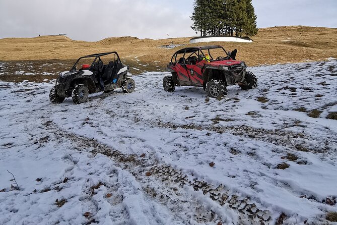 Carpathian mountains Snowmobile, ATV or Buggy tour in one day - The Shared One-Hour Ride: What It Feels Like and Why It’s Priced This Way