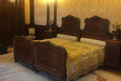 Cotroceni Palace - Presidential Palace in Bucharest - Guided Tour - Cotroceni Palace: a seat of power that actually changes hands