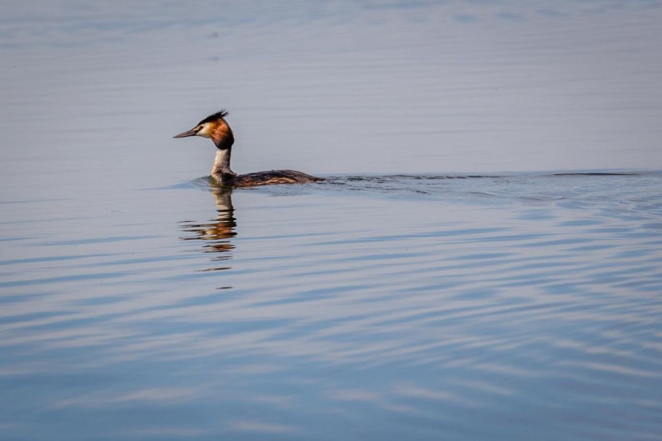 Danube Delta - 2-Day Tour from Bucharest - Key highlights worth your attention