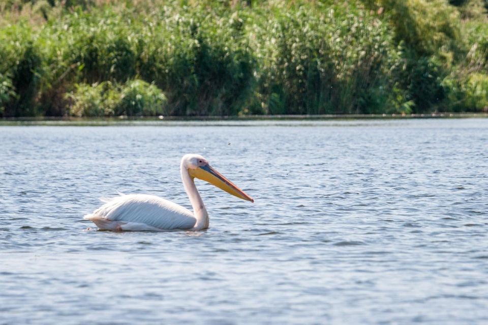 Danube Delta - 2-Day Tour from Bucharest - Danube Delta UNESCO access in two compact days