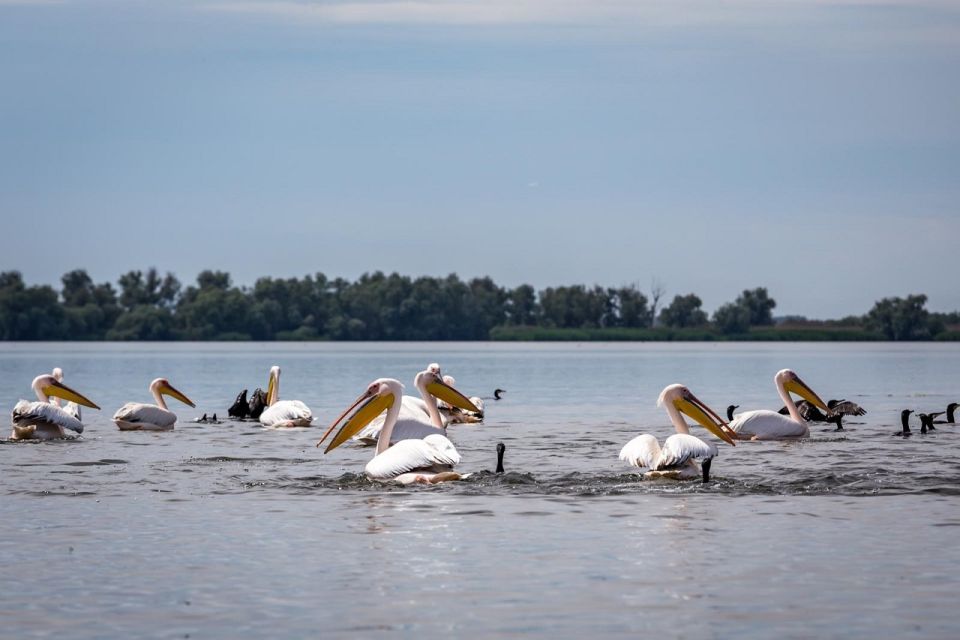 Danube Delta - 2-Day Tour from Bucharest - Price and value: what $505 actually covers
