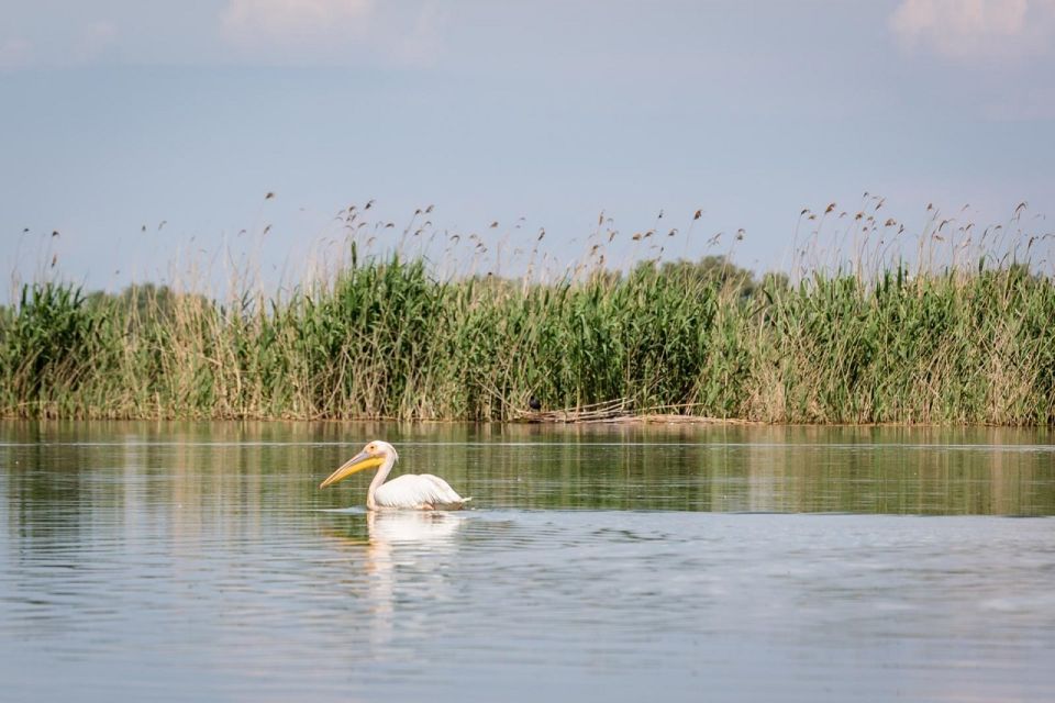 Danube Delta - 2-Day Tour from Bucharest - Who this Danube Delta tour fits best