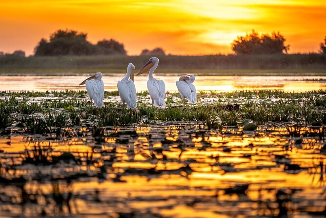 Danube Delta and Black See - 2 Days Private Tour from Bucharest - Constanța’s Faleza Cazino: the seaside casino area as a time capsule
