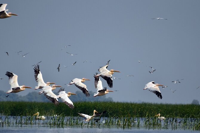 Danube Delta and Black See - 2 Days Private Tour from Bucharest - Tulcea overnight: the smart move before the delta