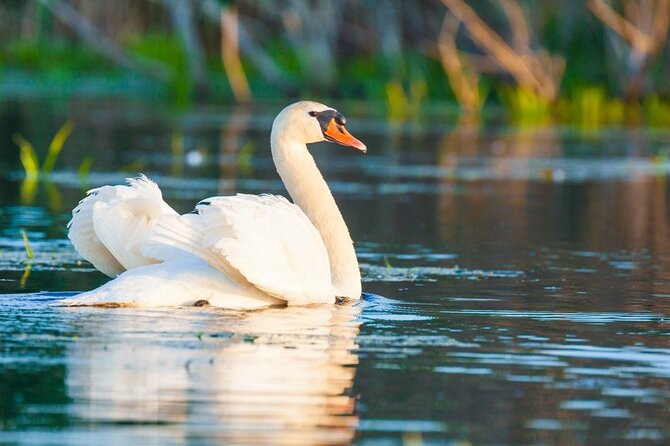 Danube Delta and Black See - 2 Days Private Tour from Bucharest - Lunch and village life: when the delta stops being only birds