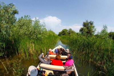 Danube Delta - Private Tour with Boat Trip & Traditional Lunch - Port Tulcea, Villages, and Daily Life: It’s Not Just Wildlife Photos