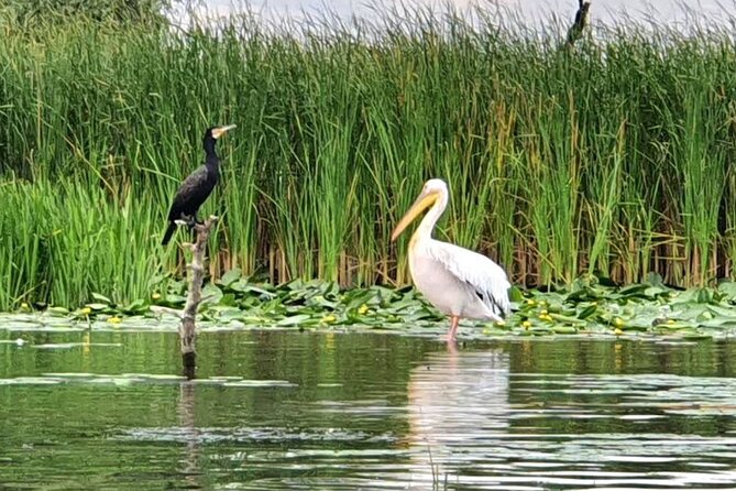 Danube Delta - Private Tour with Boat Trip & Traditional Lunch - Price Breakdown and Best Group Size for Value