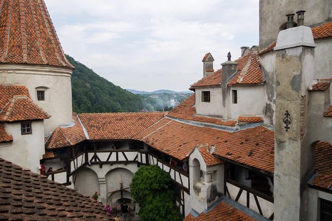 Dracula and Peles Castles Premium Tour with Hotel pick-up - Rasnov Citadel Swap on Mondays and Tuesdays