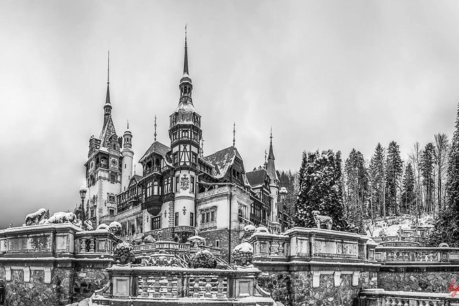 Dracula's Castle, Peles Castle and Brasov - Private Day Trip from Bucharest - Pace and comfort: what a private guide changes on a 12–13 hour day