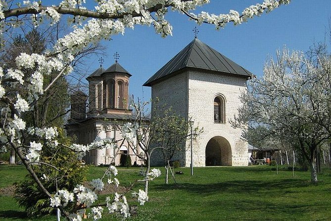 Dracula's Tomb and Mogosoaia Palace, Private Tour from Bucharest - How the Private Format Changes the Day (In a Good Way)