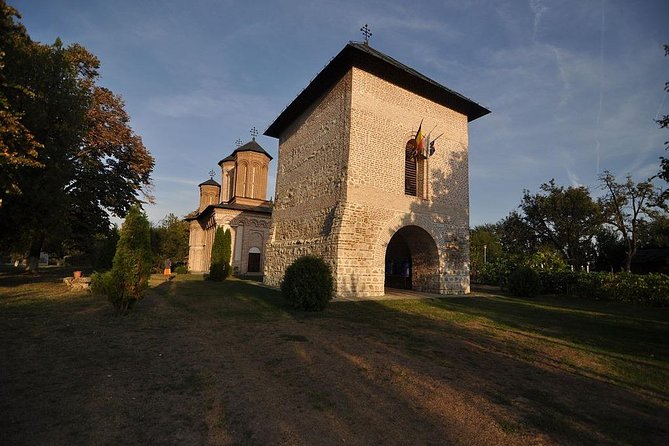 Dracula's Tomb and Mogosoaia Palace, Private Tour from Bucharest - Should You Book This Tour?