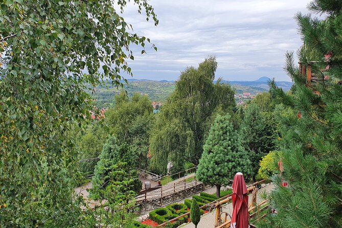 Executive Dracula Day Trip - See Bran & Peles Castle, Brasov from Bucharest - Practical Tips Before You Go
