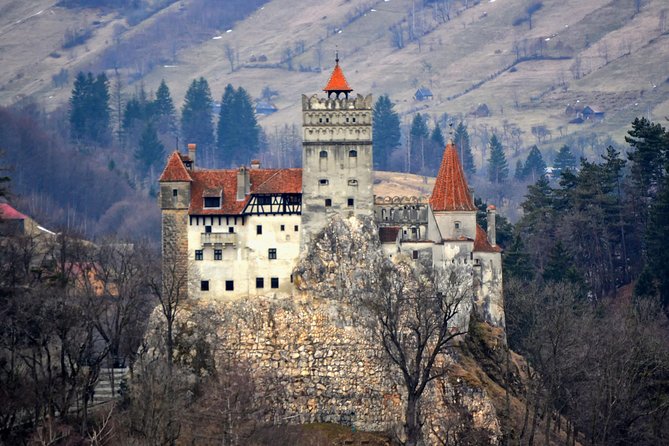 Explore Transylvania: Dracula, Peles Castle & Brasov Private Tour - A Transylvania day trip that actually feels like a day
