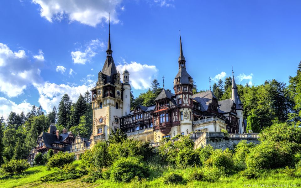 From Bucharest: Day Trip to Dracula and Peles Castle - Price and value: is $129 a good deal?
