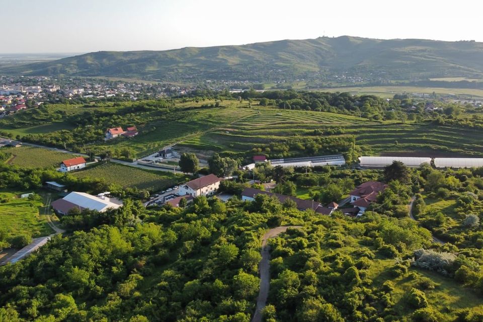 From Bucharest: Exclusive Dealu Mare Wine Tasting Tour - Key things I’d pin to your fridge before you go