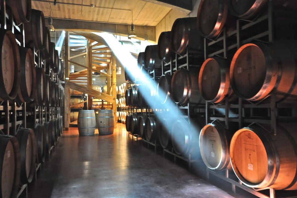 From Bucharest: Exclusive Dealu Mare Wine Tasting Tour - Price and value: what you’re really paying for
