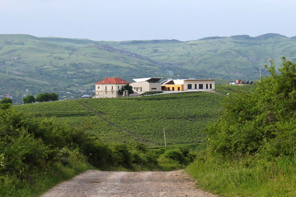 From Bucharest: Exclusive Dealu Mare Wine Tasting Tour - Stop 1: Lacerta Winery and the gravity-powered tour