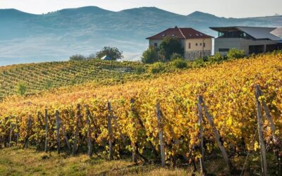 From Bucharest: Exclusive Dealu Mare Wine Tasting Tour - The drive from Bucharest: Old Wine Road scenery with a purpose