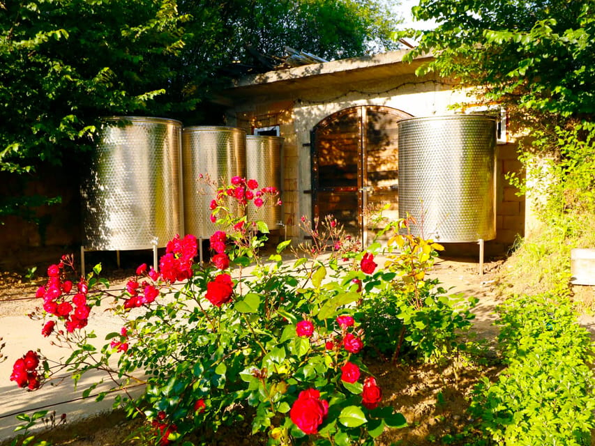 From Bucharest: Exclusive Dealu Mare Wine Tasting Tour - Lunch break timing: plan for what’s included and what isn’t