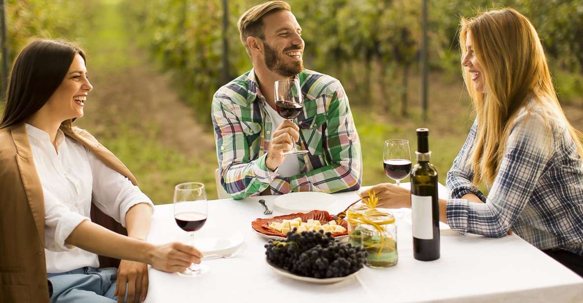 From Bucharest: Exclusive Dealu Mare Wine Tasting Tour - How the tasting format helps you actually learn what you like