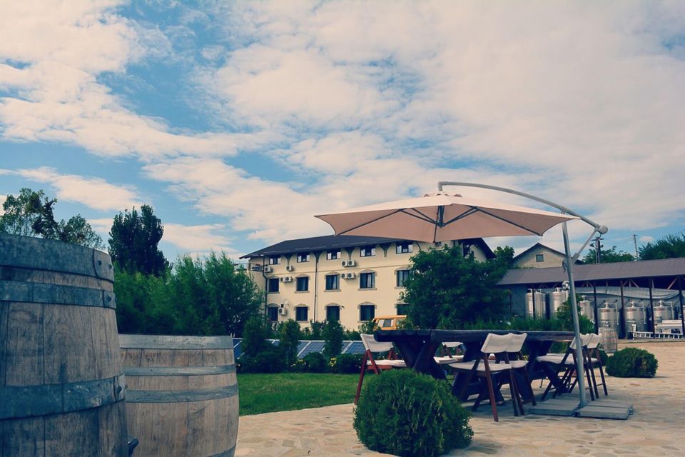 From Bucharest: Exclusive Dealu Mare Wine Tasting Tour - Guides turn the day from wine tasting into a story you remember