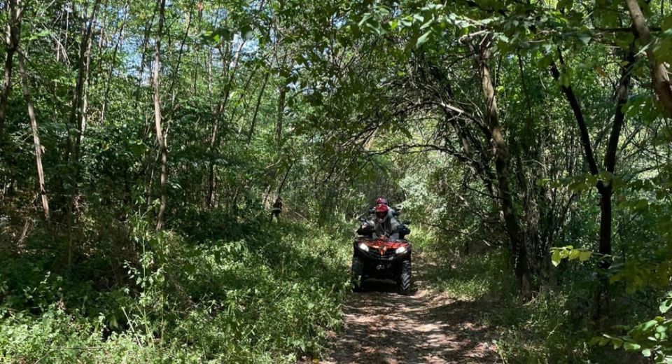 From Bucharest: Forest and Hills ATV Quad Bike Tour - Should You Book This Forest and Hills ATV Quad Bike Tour?