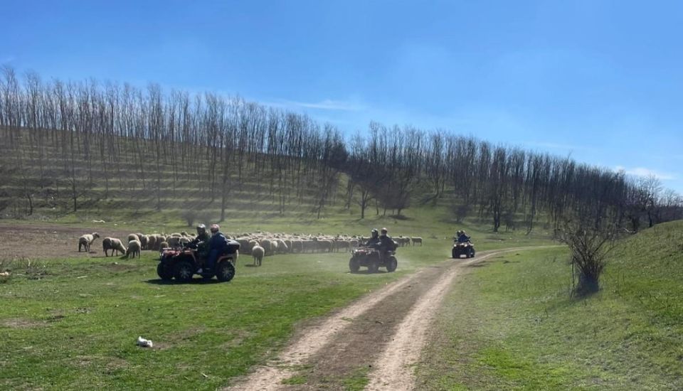 From Bucharest: Forest and Hills ATV Quad Bike Tour - Guides, Safety, and the Photo/Video Bonus: Why the Experience Feels Organized
