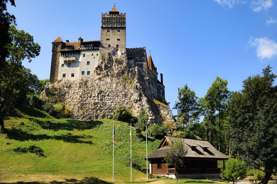 From Bucharest: Libearty Bear Sanctuary and Dracula's Castle - Key Points That Make This Trip Worth It