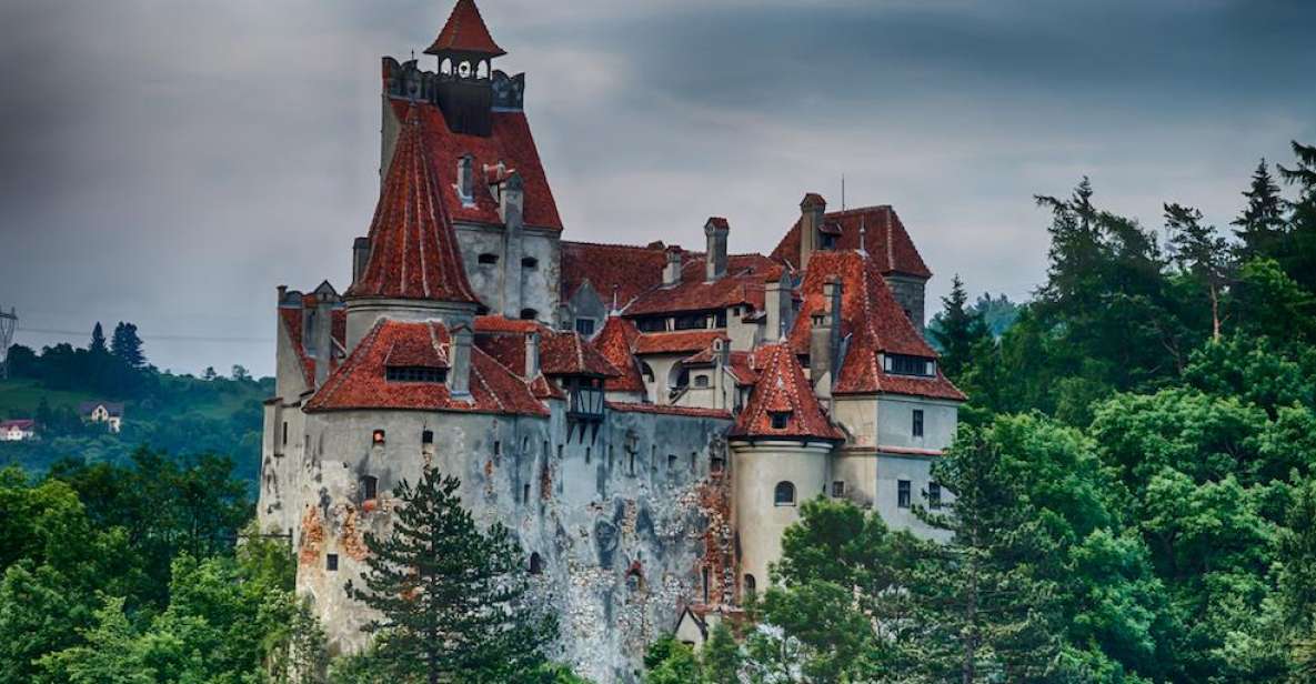 From Bucharest: Peleș and Bran Castles Private Tour - Who should book this private castle day—and who should think twice