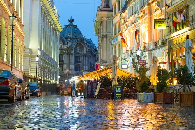 Full-Day Bucharest City Tour - Triumph Arch and Constitution Square: Short Stops With Payoff