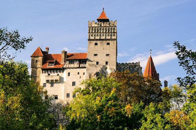 In Search of Dracula and the Teutons in Transylvania Full-Day Private Tour - A full-day Dracula-to-Teutons plan that actually makes sense