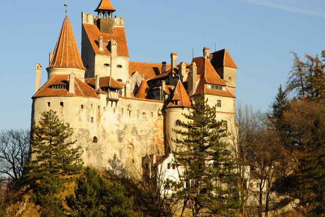 In Search of Dracula and the Teutons in Transylvania Full-Day Private Tour - Brasov: medieval Saxon roots plus a modern city feel