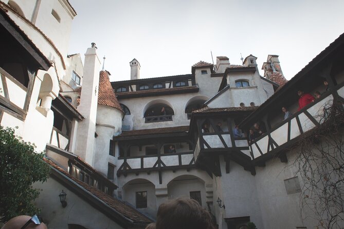 Legends&Wildlife Awaits: Dracula's Castle & Bear Sanctuary - Libearty Bear Sanctuary Zărnești: 69 hectares, nearly 90 rescued bears