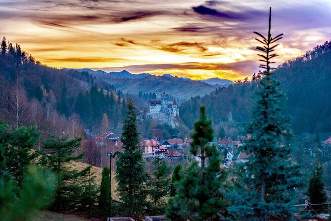 Legends&Wildlife Awaits: Dracula's Castle & Bear Sanctuary - Group size, timing, and comfort: what makes this day trip easier