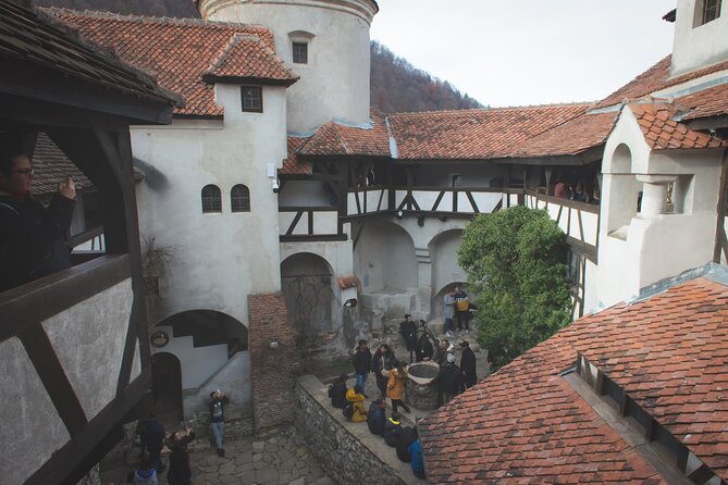 Legends&Wildlife Awaits: Dracula's Castle & Bear Sanctuary - Getting there: the 7:00 am start and Carpathian road time