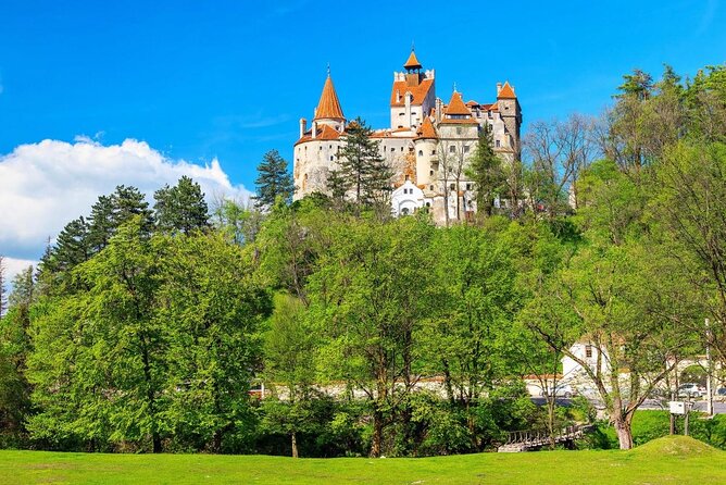 Libearty Bear Sanctuary and Dracula's Castle - Day Tour from Bucharest - Libearty Bear Sanctuary Zărnești: Why This Stop Feels Real