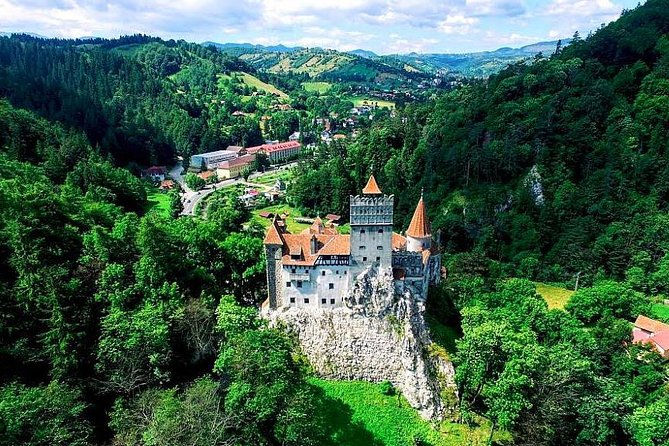 Libearty Bear Sanctuary and Dracula's Castle - Day Tour from Bucharest - Lunch, Snacks, and How to Time Your Eating