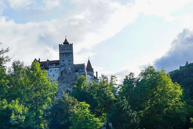 Libearty Bear Sanctuary and Dracula's Castle - Day Tour from Bucharest - Who This Tour Fits Best