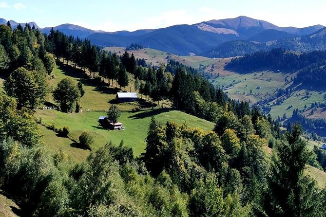 Off Road Adventures in Wild Carpathians - 5 Days - Comfort, expectations, and who this tour suits best