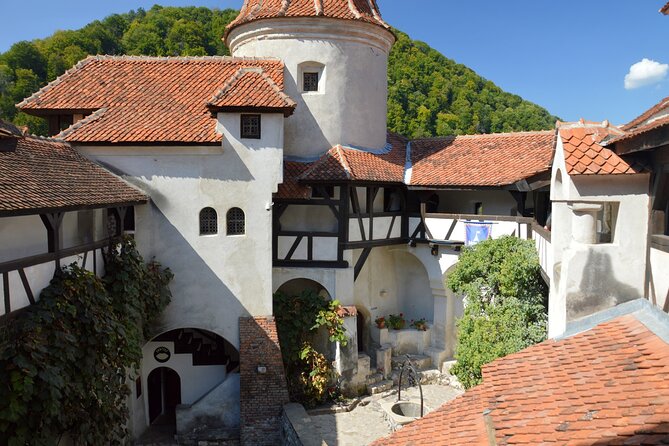 One Day Private Tour to Peles and Dracula Castles & Brasov City - Peles Castle: fairytale rooms, real-world entry tickets