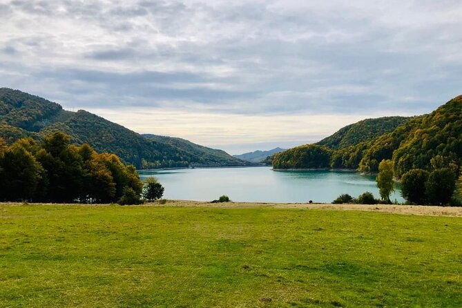 Original Carpathian Village Experience and Sinaia in one day tour - Paltinu Lake and the Dam Views: The Ticket-Free Breather