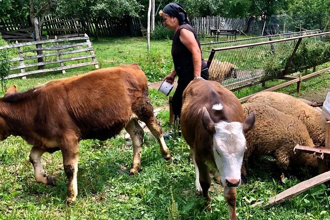 Original Carpathian Village Experience and Sinaia in one day tour - Villages With Fortified Churches and the Sinaia Mountain Build-Up