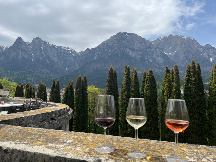 Peles & Cantacuzino Castles: Gourmet Wine & Cultural trip - Price and value: does $322 make sense for castles plus tasting?
