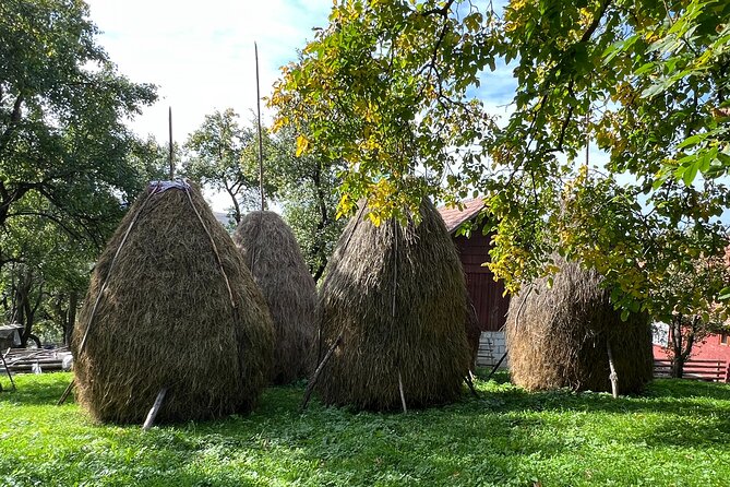 Peles castle and authentic Romanian village experience - day trip - Barajul Paltinu: a quick lake stop that’s actually worth photos