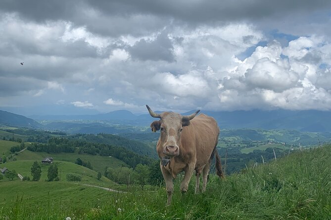 Peles castle and authentic Romanian village experience - day trip - Food, drinks, and breaks: what’s actually included