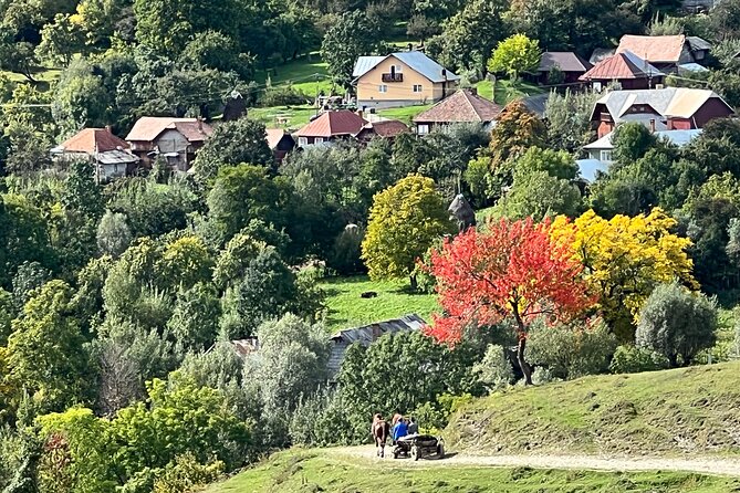 Peles castle and authentic Romanian village experience - day trip - Price and logistics: is $301 worth it?