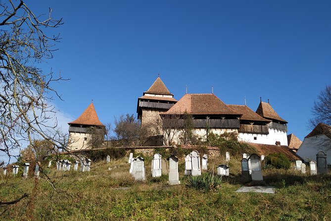 Private 5-Day Tour in Transylvania from Bucharest Hotel Pick-up and Drop off - Day 2 Bears Sanctuary and Viscri fortified church: nature and slower village time