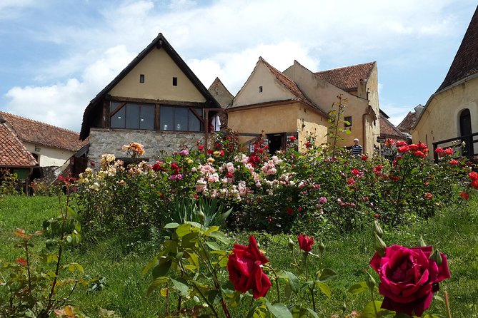 Private 5-Day Tour in Transylvania from Bucharest Hotel Pick-up and Drop off - Day 5 Snagov Monastery near Bucharest: legends, frescoes, and the quiet lake setting