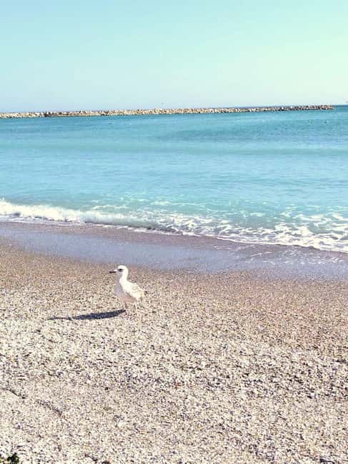 Private Bucharest Tour: Discover Constanța & Black Sea Coast - Price and value: is $171 per person fair for this 8-hour private tour?
